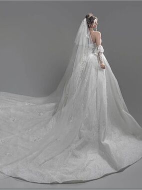 (New- never worn) Elegant Ivory Bridal Ball Gown with Long Train